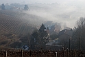 S. Damiano d'Asti - Nebbia_011